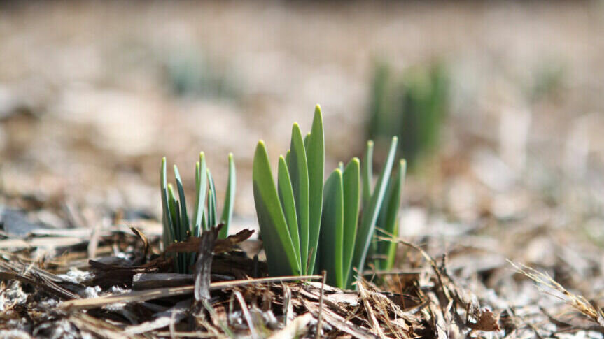     Социальная пенсия, новая выплата, маркировка напитков и прием на госслужбу: как изменится жизнь россиян с апреля 2023 года.