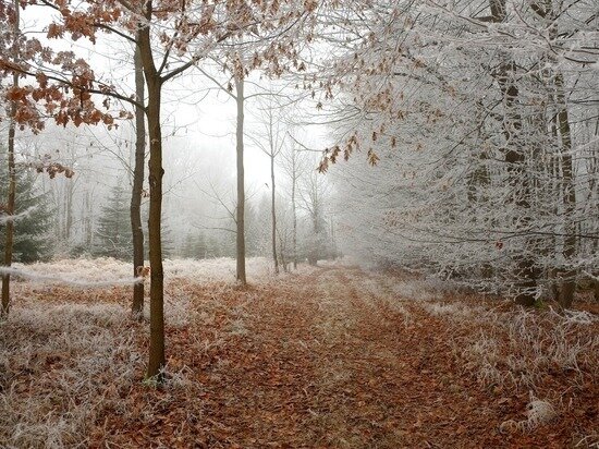     Фото: pixabay.com