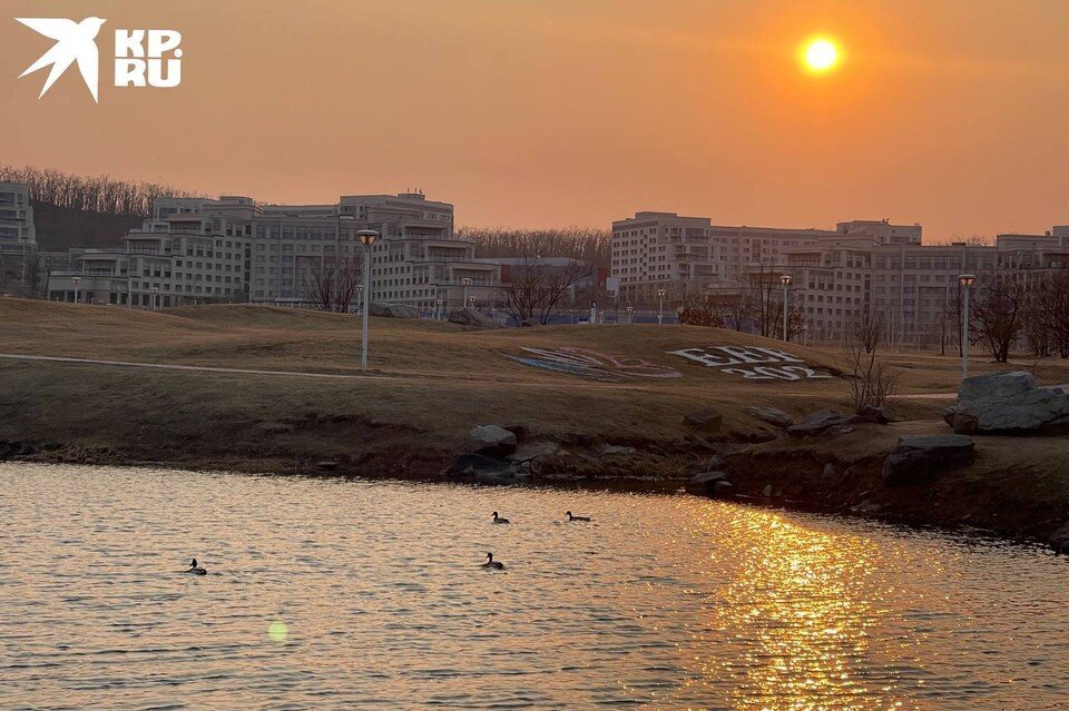     Жилые корпуса кампуса ДВФУ. Анна СОБОЛЬ