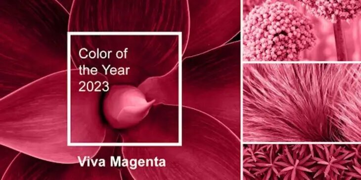 Цвет года 2023 Pantone Viva Magenta 18-1750