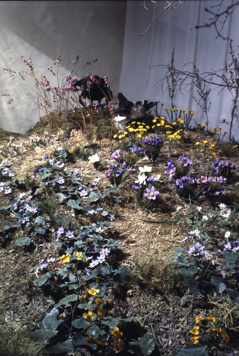 Фото Стин И.И. Музей самодеятельного творчества народов РСФСР. Выставка «Родная природа». Второй зал. Авторская выставка Николая Николаевича Кочина. Комплекс «Весна». Из собрания ГВСМЗ