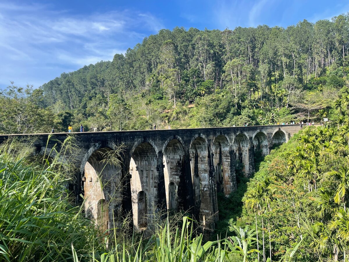 Фото мое. Самое популярно на Шри :)