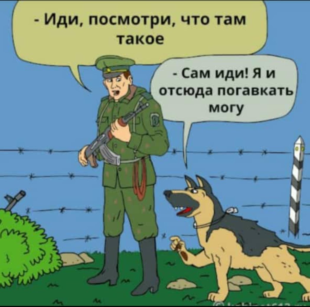 Пограничник карикатура