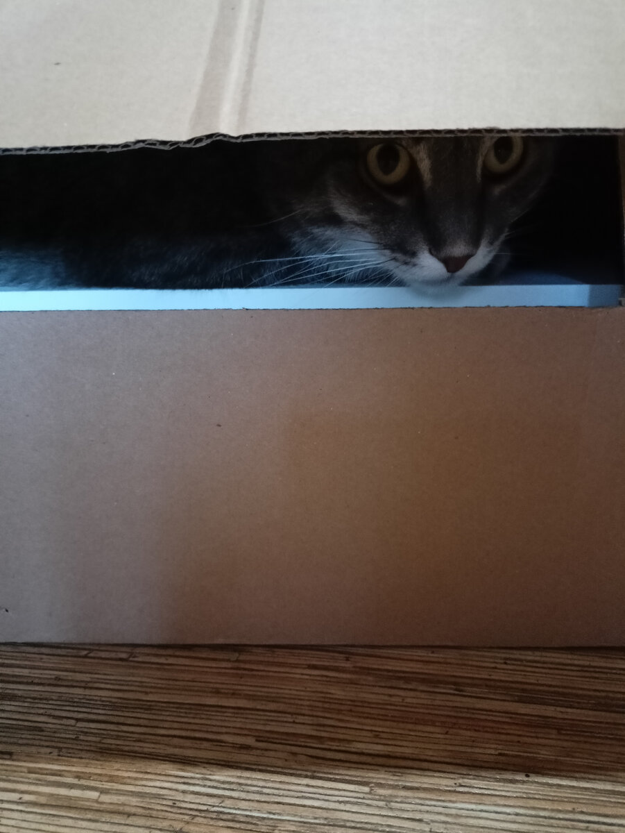 И где мы сидим, угадайте.