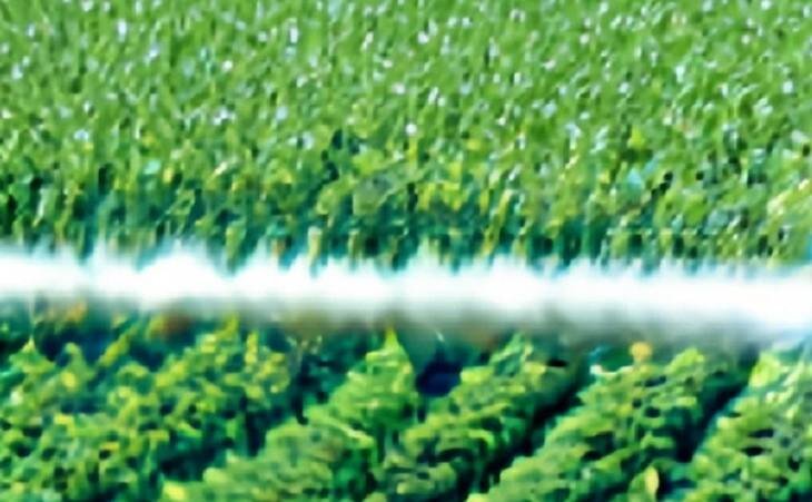    Люксембург снова открывает продажи глифосата после запрета