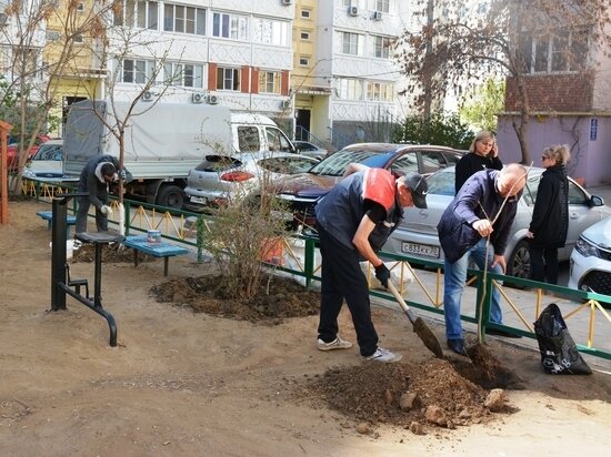     Астраханцы вышли на генеральную уборку / Пресс-служба администрации Астрахани