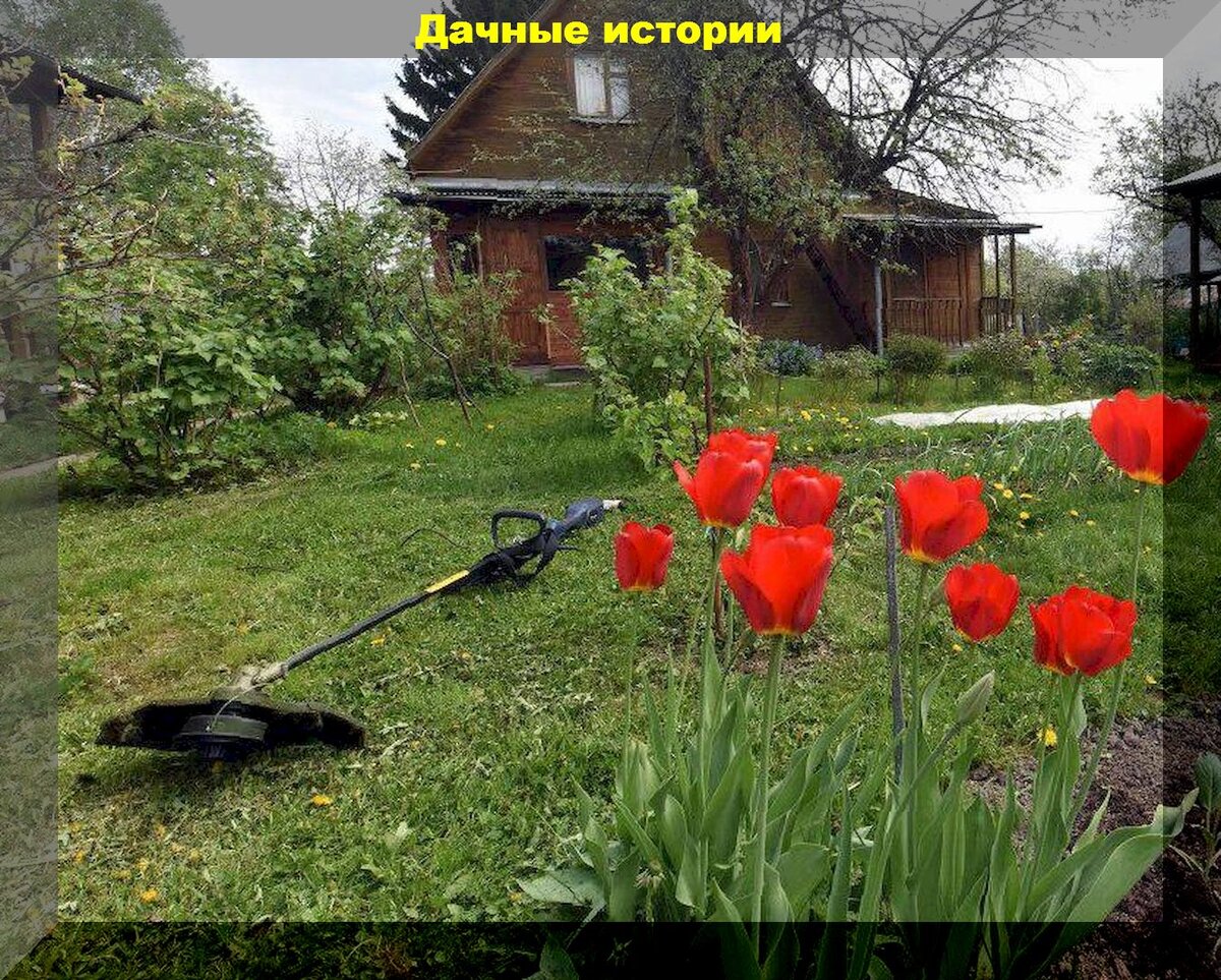 https://vk.com/photo-159774511_457260029