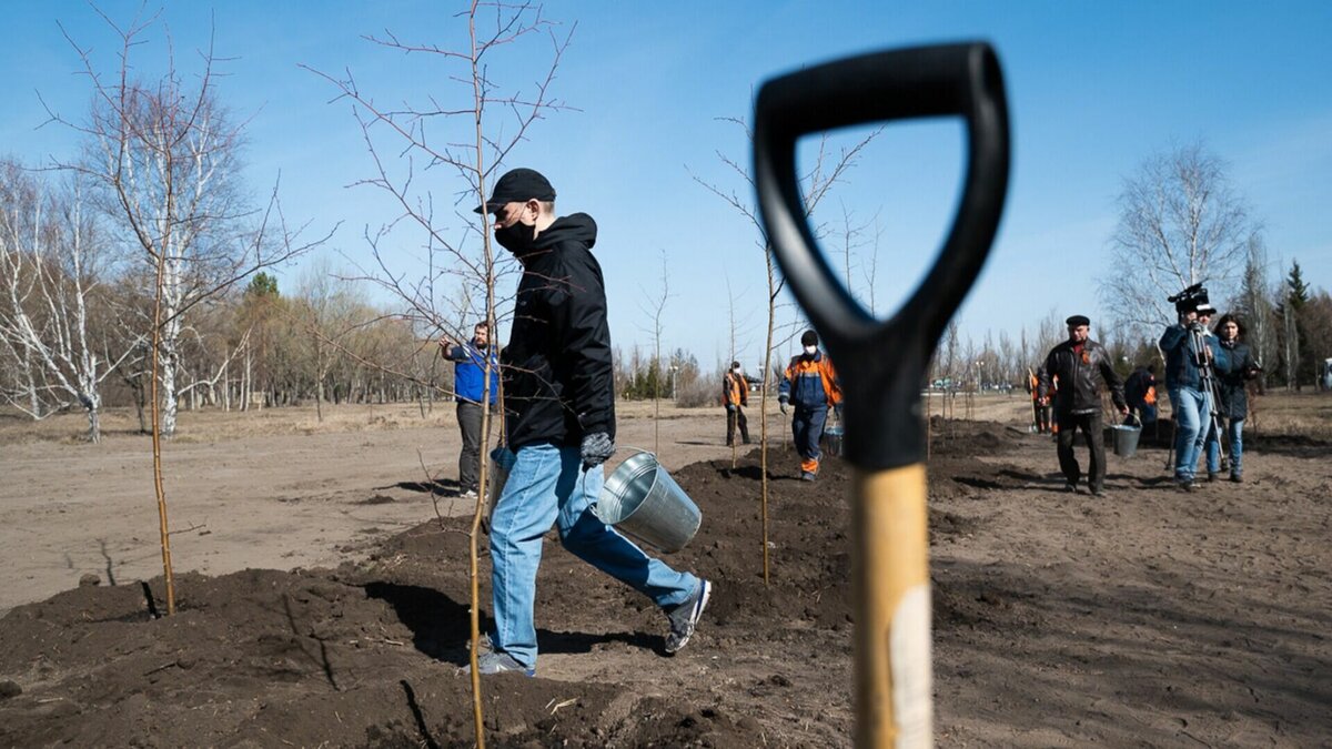     В Татарстане стартовал санитарный двухмесячник — весенние выходные часть местных жителей посвятят уборке городских улиц. Недовольства и возражения не принимаются. Но почему? Об этом — в материале Inkazan.