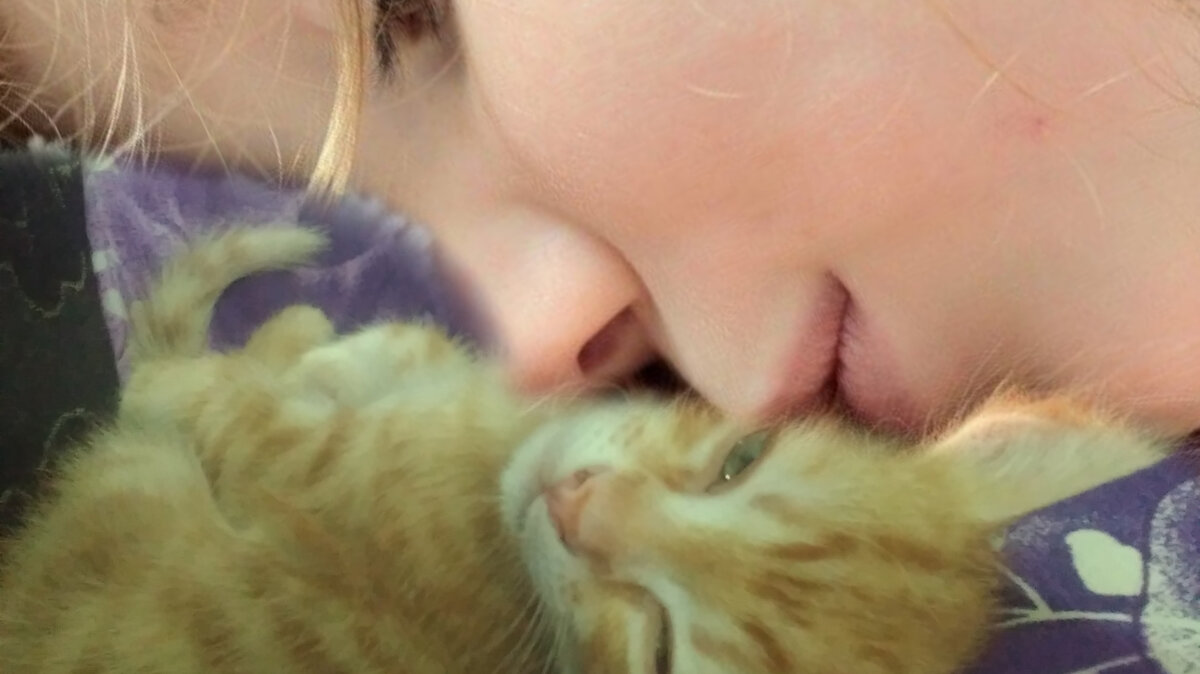 Коллаж автора. Больше тебя никто не обидит.