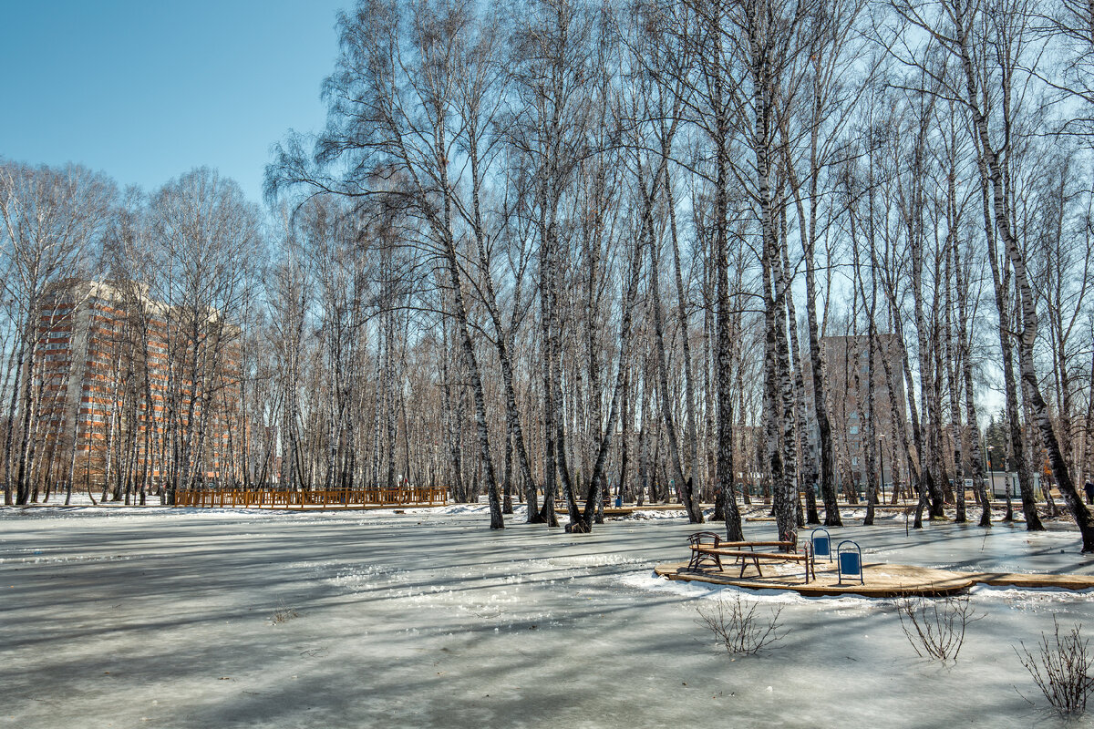 Бердск весной фото