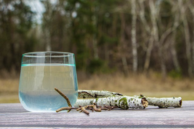    Нужно ли кипятить березовый сок?