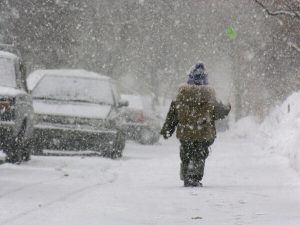    Фото: ru.depositphotos.com Анита Ким