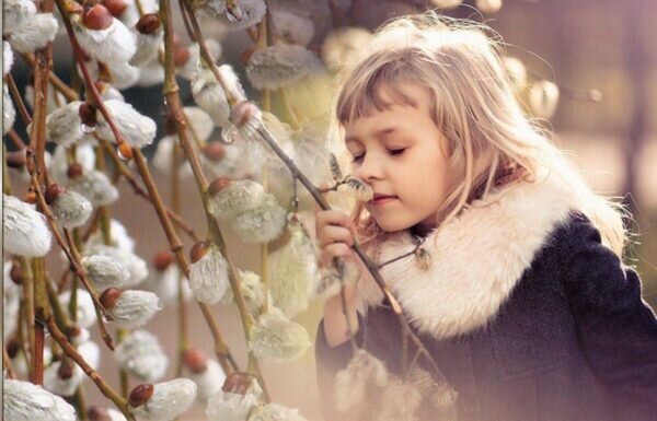    Фото: ShutterStock