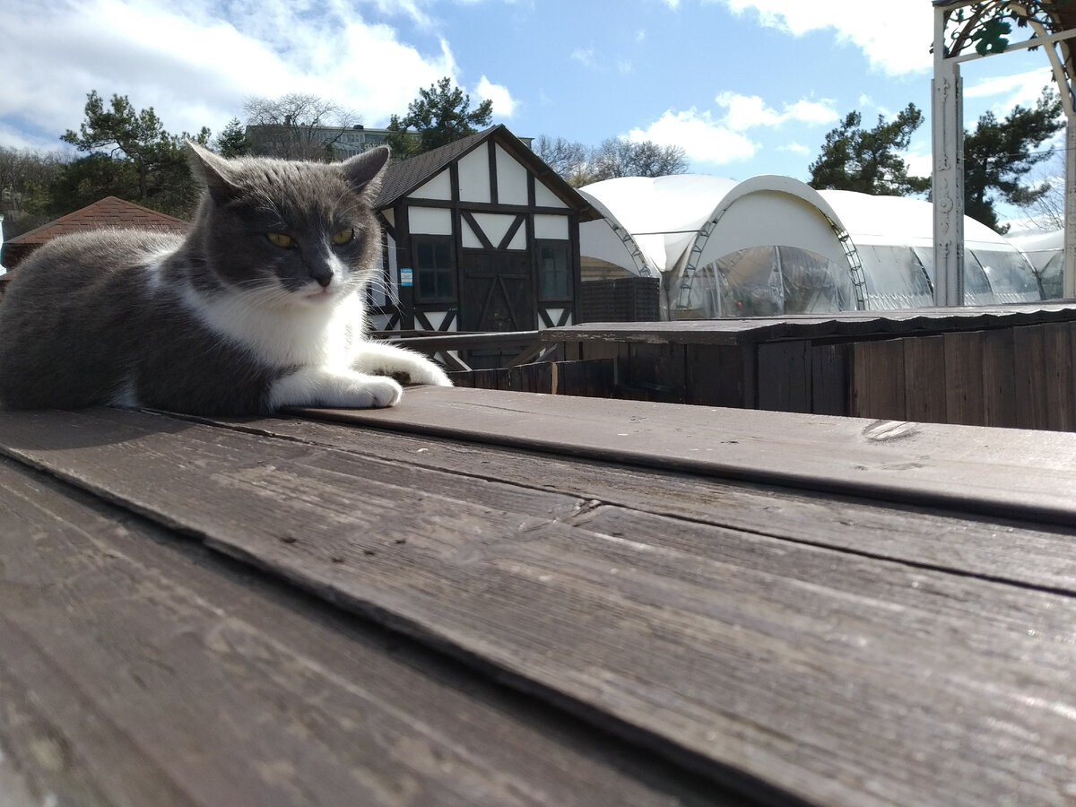 Весна в Абрау | Путешествие на юг | Дзен