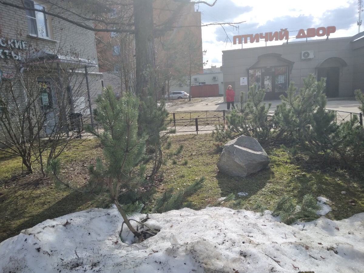 Фото автора Ирины Одарчук Паули