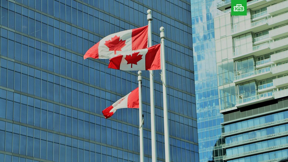    Фото: liantomtit / unsplash.com