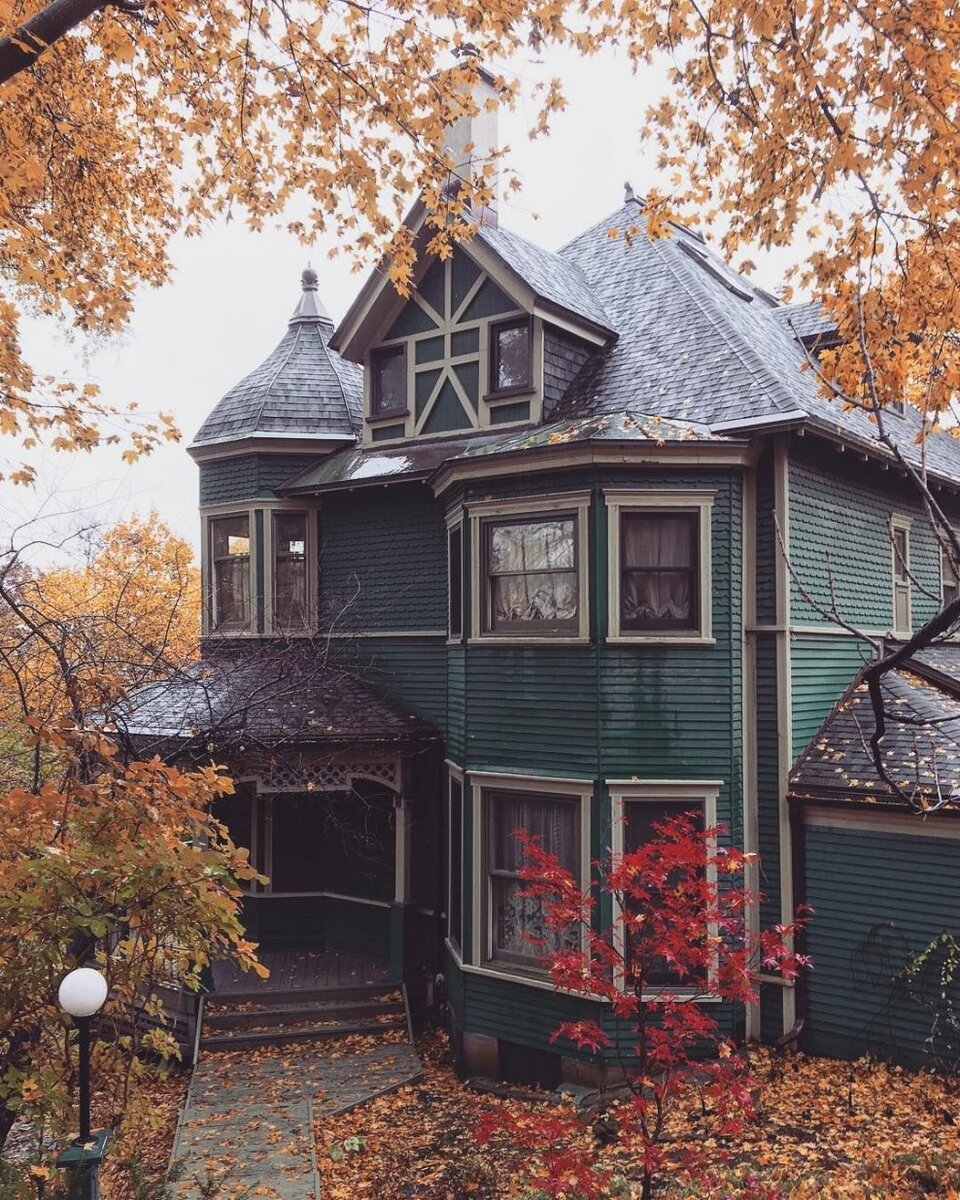 Яндекс.Картинки