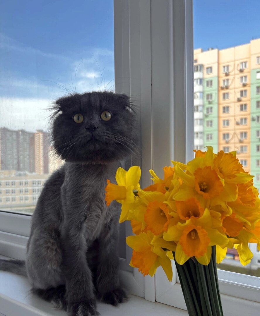 иллюстрация из яндекс картинки.
