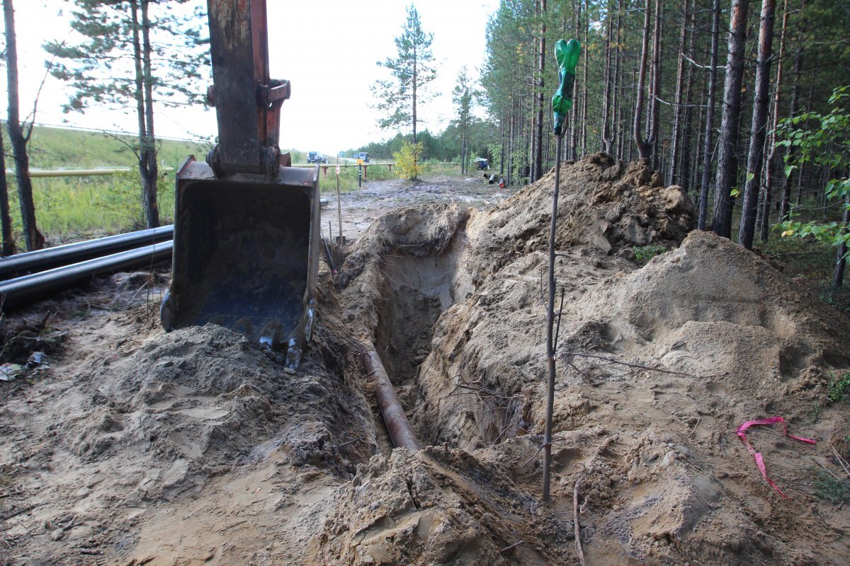    У тиристов в настоящее время есть возможность посетить тропу «ЧелоВечность».