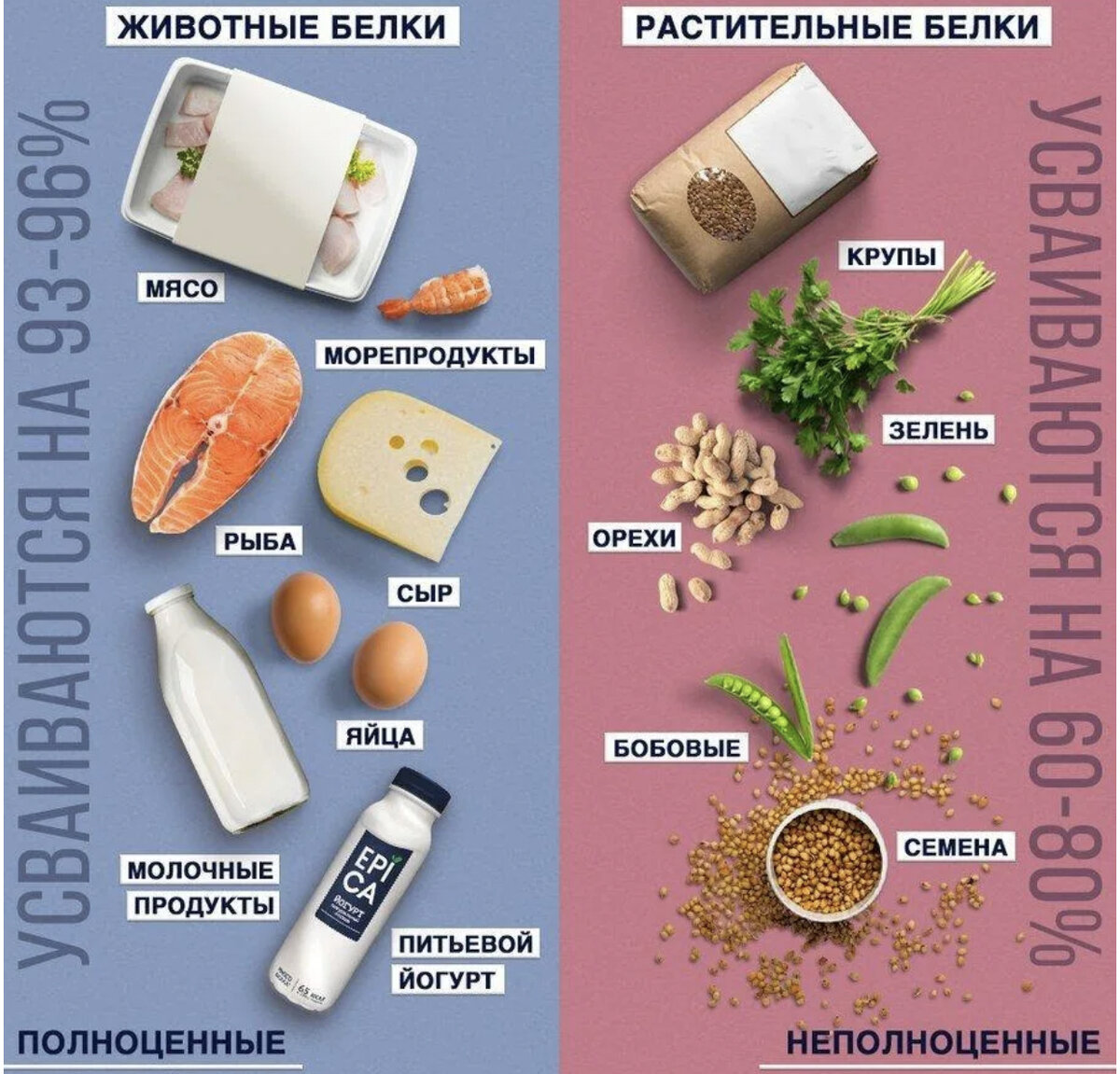 Что будет если употреблять много белка. Продукты с высоким содержанием белка. Продукты богатые белком список. Продукты богатые велком. Продукты богатые белели.