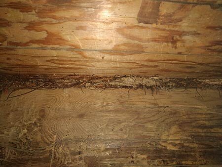 Бревнам более 100 лет.