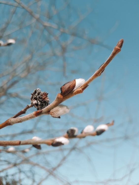 фото из интернета