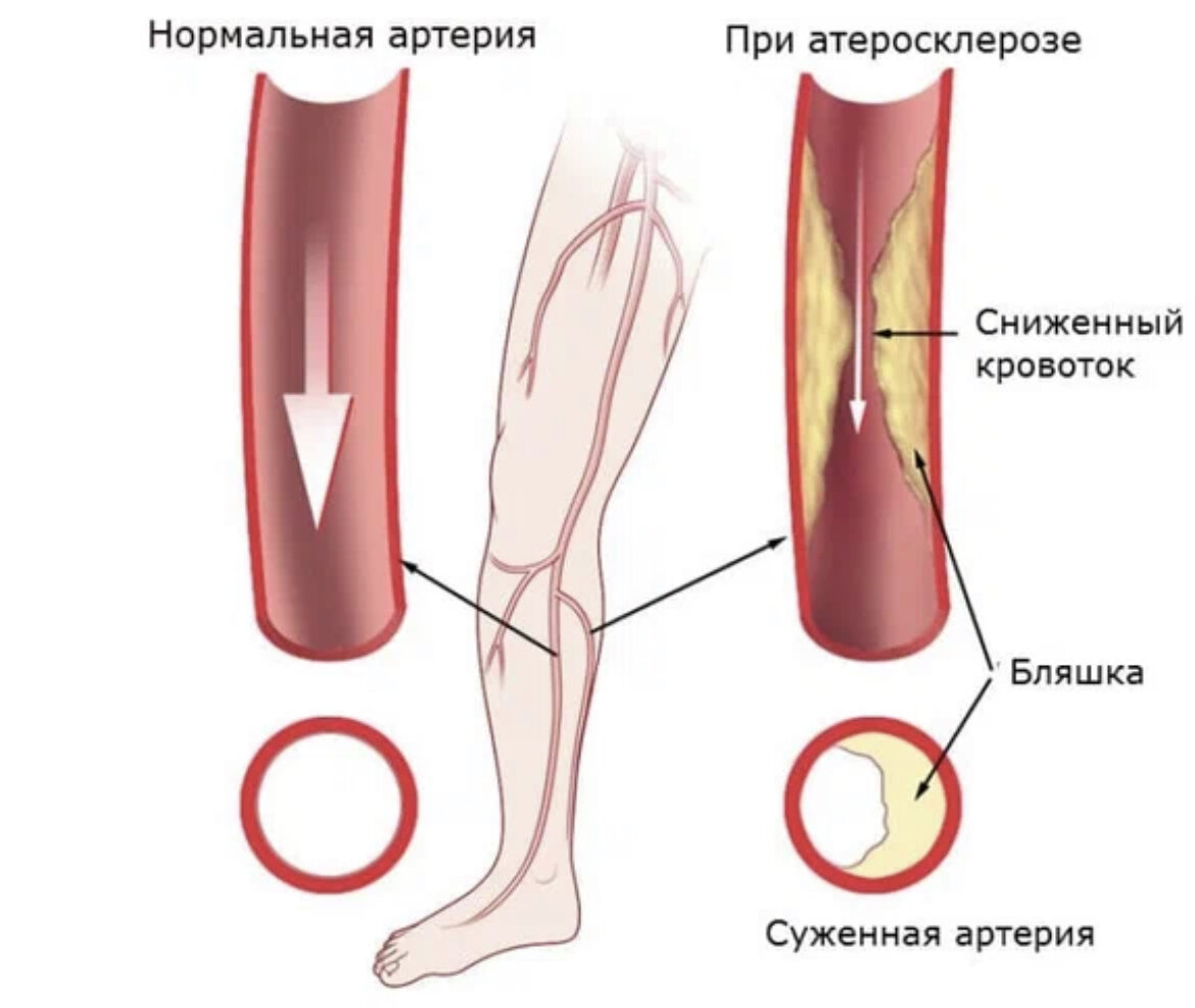 Услуги, которые помогут