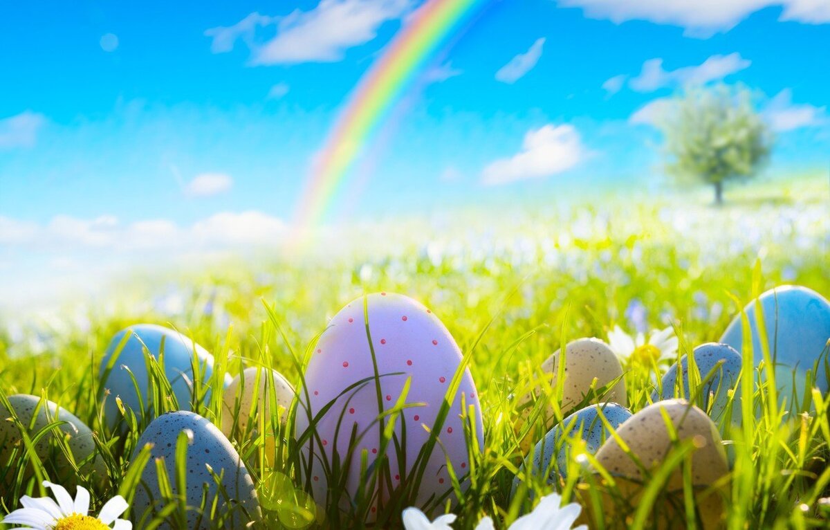 яндекс картинки