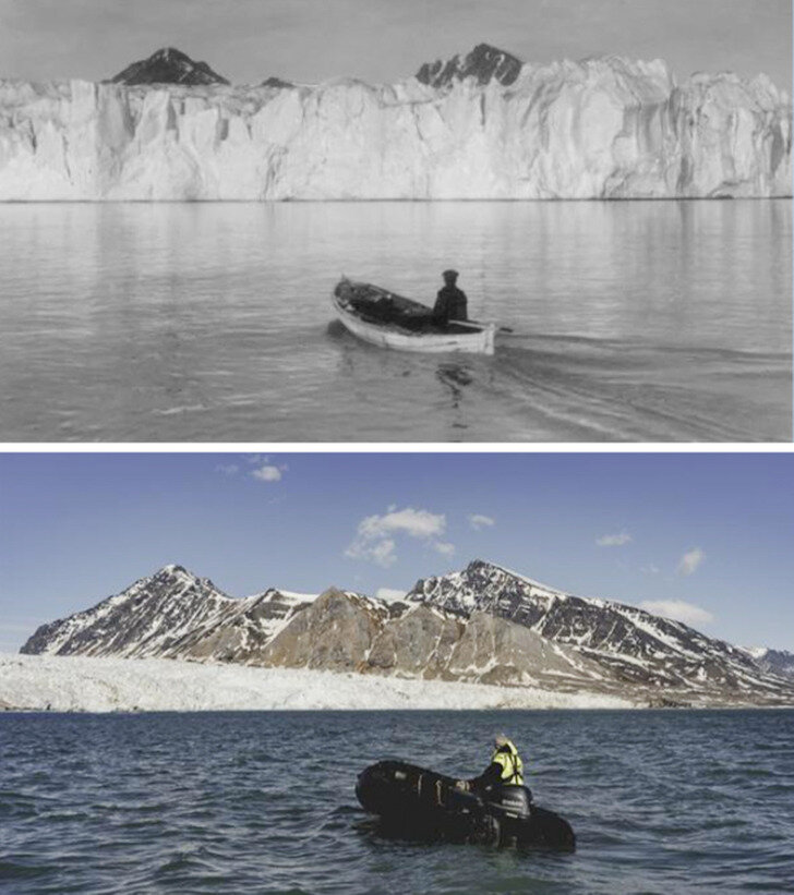 фотографии сравнения изменения ледника с разницей более 100 лет.