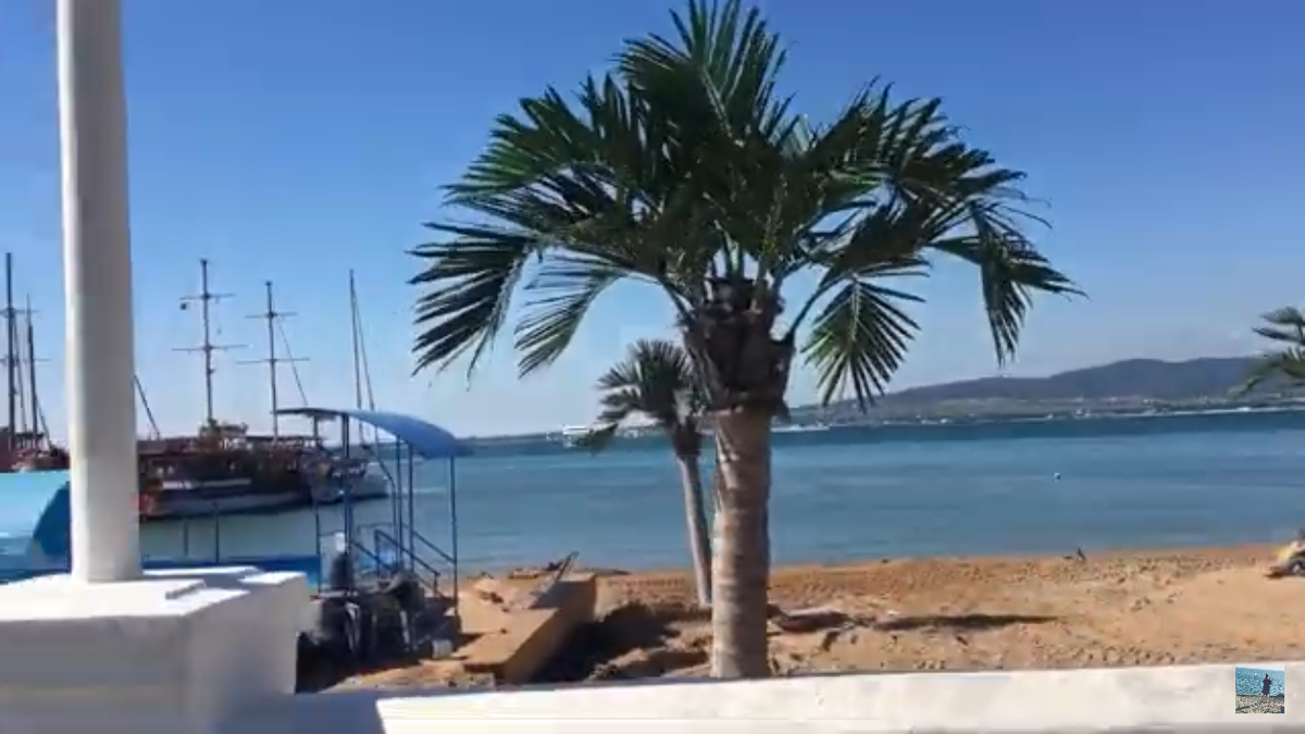 Вид завораживает, пальмы кругом(фото автора)