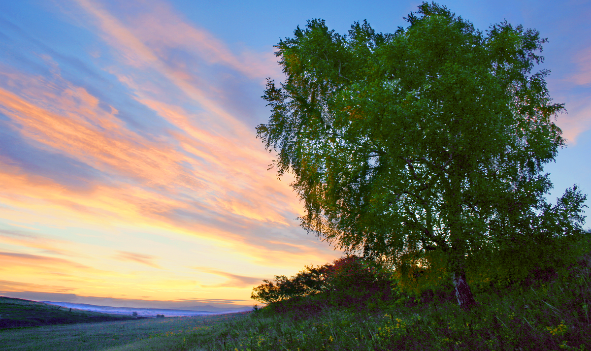 Фотография, стихотворение Василия Глуцкого