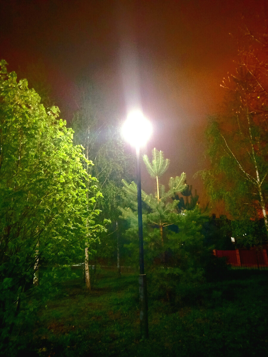 Фото автора. 