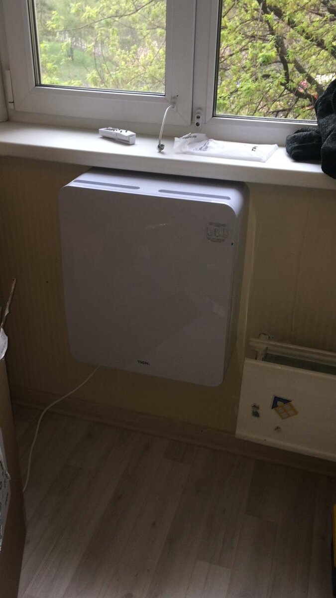 Тион 4S в комнате ребёнка с поллинозом