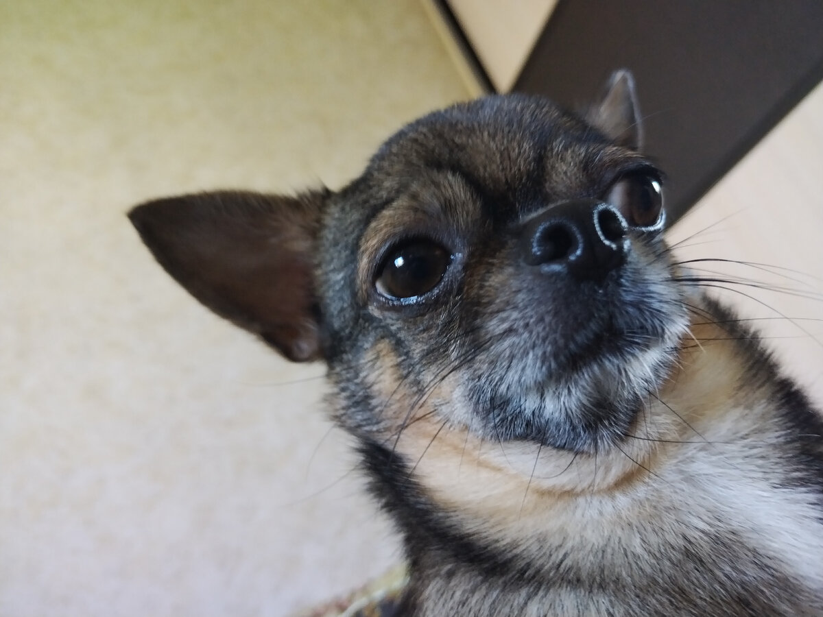 Вот он я кстати