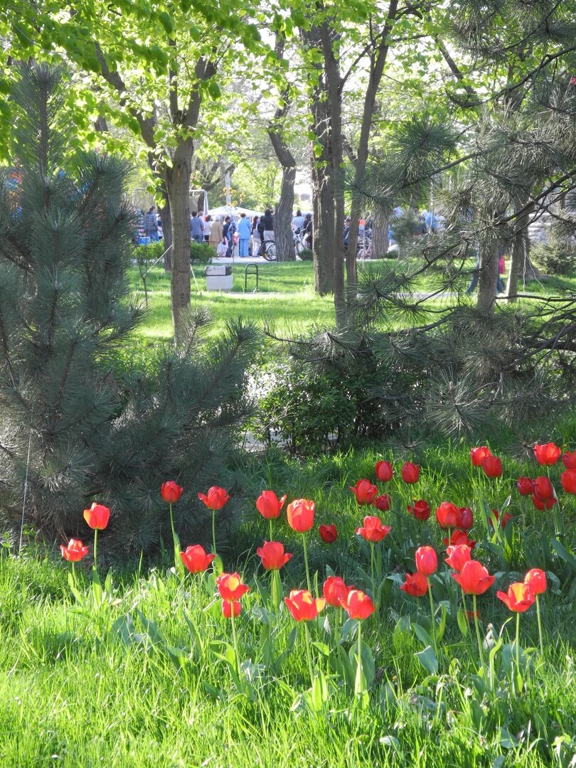 Фото из личного архива 