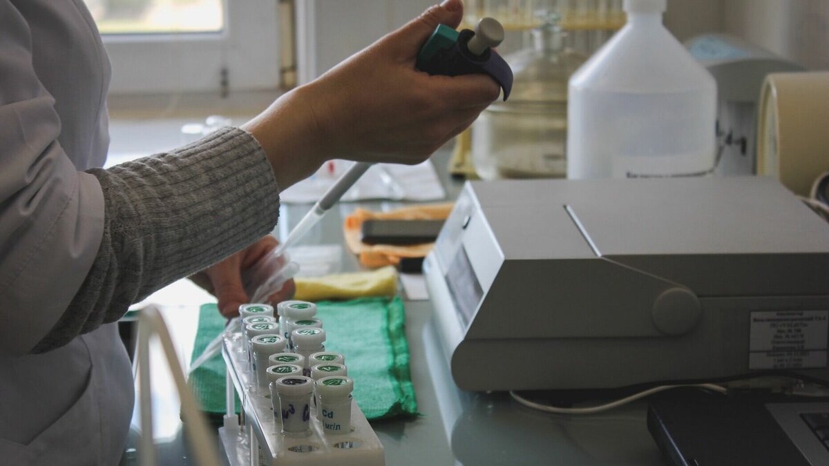     Сотрудники Биотехнологического центра ВСГУТУ получили коллаген из отходов кожевенного производства.