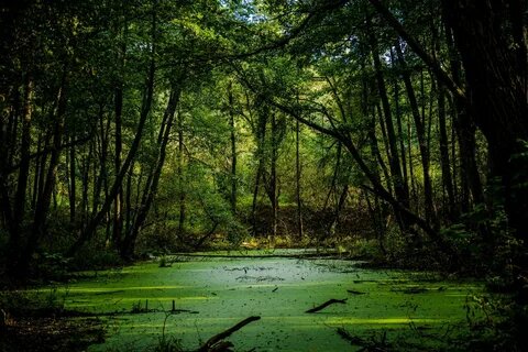 Повинуясь он опустился в кресло