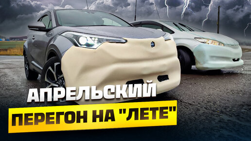 Трындын авто волгоград
