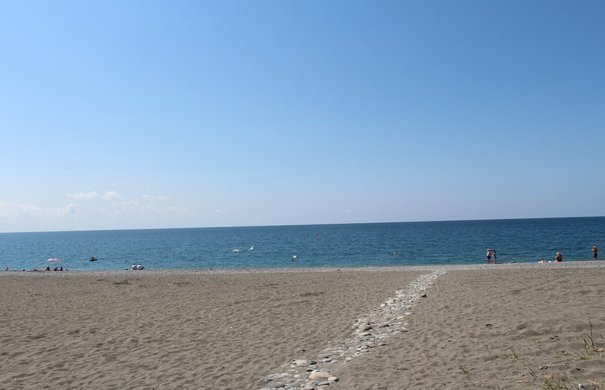 пляж цитрусовый абхазия