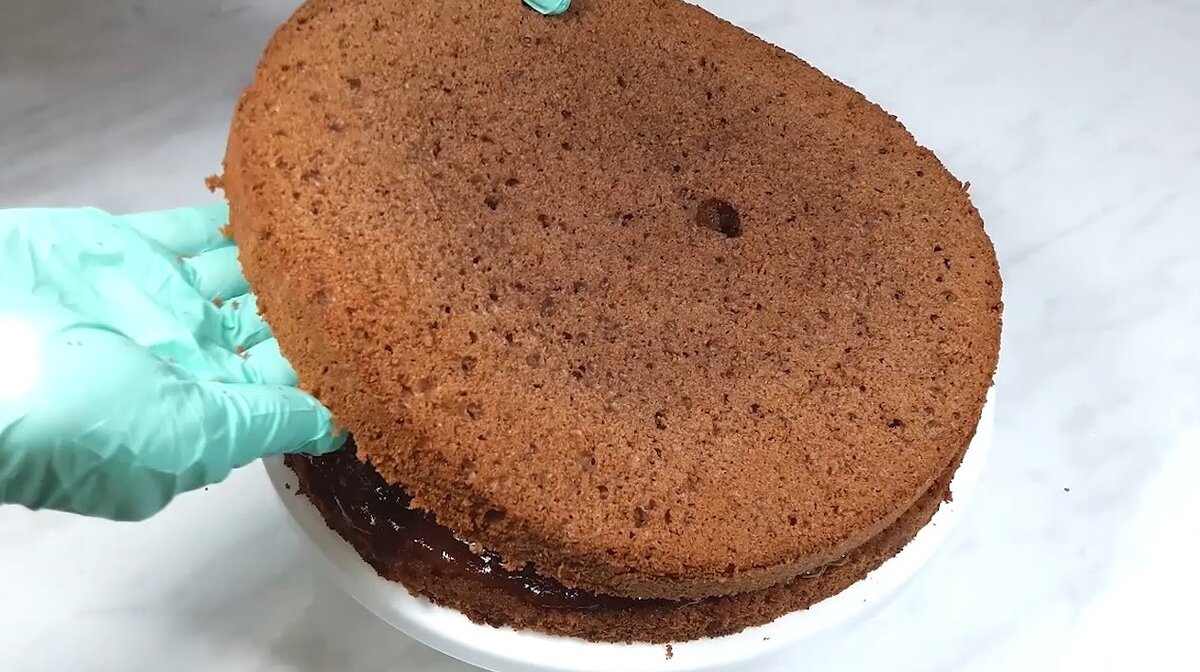 Как приготовить шоколадный бисквит для торта
