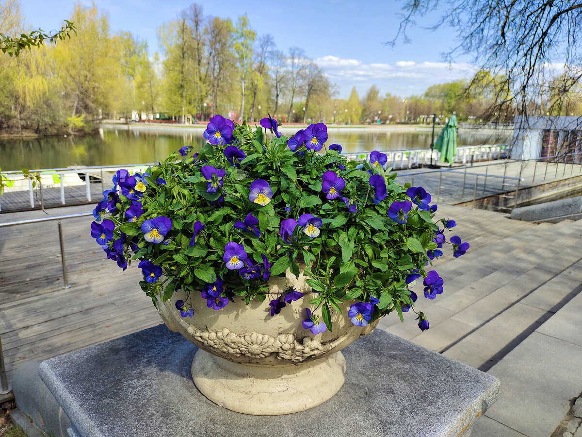 Парки Москвы конечно все ухоженные 