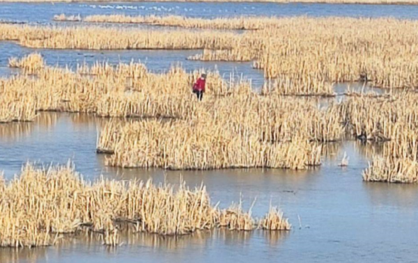    Фото: Телеграм-канал МЧС38