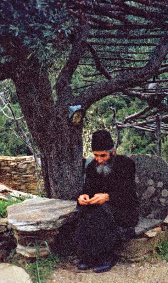 фото из открытого доступного источника сети интернет