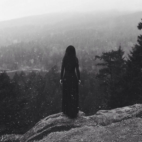 Изображение взято из открытых источников интернета. 