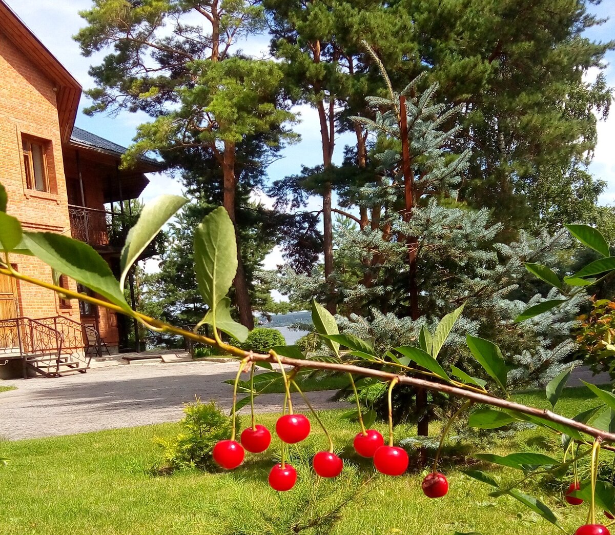 Берегите Природу