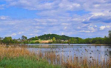 Картинка из инета 