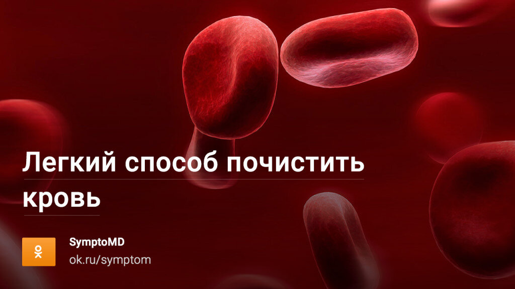 Где происходит очищение крови. Очистка крови в организме. Как почистить кровь в организме. Чем можно почистить кровь. Как очистить кровь от инфекции.