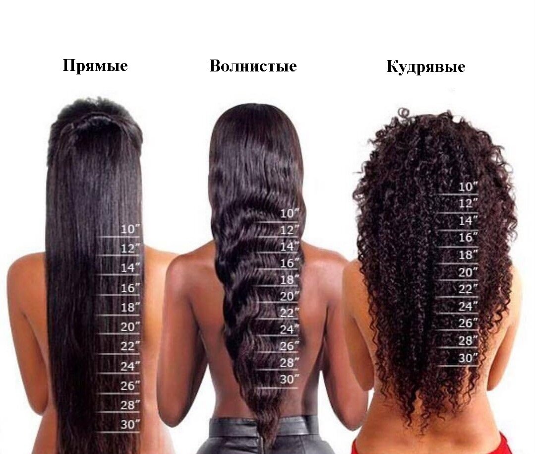 Длина волос по картинке