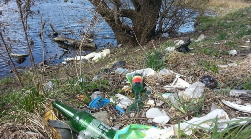 Берега реки Черная. Фото: севлайф.ру 