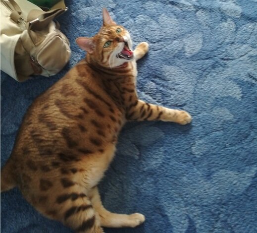 В гневе страшен.